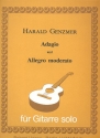 Adagio und Allegro moderato fr Gitarre