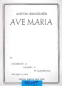 Ave Maria for trombone (trp, bb sax) and organ (piano)