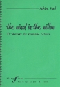 The Wind in the Willow (+CD) fr Gitarre/Tabulatur