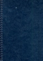 Marschmappe hoch 25 Taschen schwarz