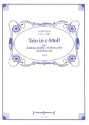 Trio c-Moll fr Altblockflte, Violoncello und Klavier CD-ROM