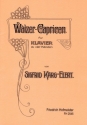 Walzer-Capricen op.16 fr Klavier zu 4 Hnden