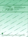 12 Variationen op.66 ber Ein Mdchen oder Weibchen aus Die Zauberflte fr Flte und Klavier