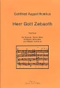 Herr Gott Zebaoth Kantate fr Sopran, Tenor, gem Chor, 2 Oboen, Streicher und Bc Partitur
