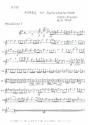 Rumba fr Zupforchester 5 Stimmen Mandoline1, 2, Mandola, Gitarre, Bass