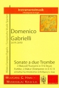 Sonate a 2 trombe fr 2 Naturtrompeten (D/C/B) und Orgel Stimmen