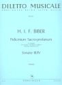 12 Sonaten Band 2 (nr.3-4) fr Streicher und Bc Stimmensatz (1-1-(1-1)-1)
