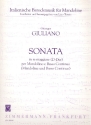 Sonate D-Dur fr Mandoline und Bc