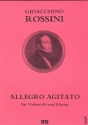 Allegro agitato fr Violoncello und Klavier