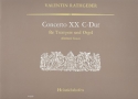 Concerto C-Dur Nr.20 fr Trompete und Orgel