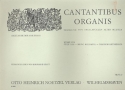 Cantantibus organis Band 22 Orgelmusik der Augustiner
