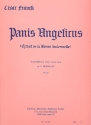 Panis angelicus, extrait de la messe solennelle pour orgue