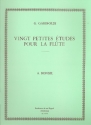 20 petites etudes  pour la flute