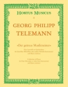 Der getreue Musikmeister fr Flte und Bc