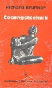 Gesangstechnik  