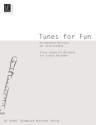 Tunes for Fun 60 favourite melodies  for treble recorder