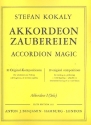 Akkordeon-Zaubereien 10 Original-Kompositionen fr Unterricht und Vort fr 1-2 Akkordeons Akkordeon 1 solo