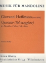QUARTETTO SOL MAGGIORE PER MAN- DOLINO, VIOLINO, VIOLA E BASSO HLADKY, VINZENZ, ED    STIMMEN
