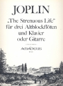 The strenuous Life fr 3 Altblockflten und Klavier (Gitarre)