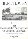 Duett mit 2 obligaten Augenglsern fr Viola und Violoncello