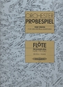 Orchester Probespiel fr Flte / Piccoloflte Sammlung wichtiger Passagen aus Opern und Konzertliteratur