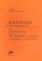 Kadenzen  zu Fltenkonzerten von Mozart, Hadyn, Stamitz und C.P.E. Bach