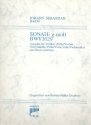 Sonate g-Moll BWV1029  fr 2 Flten und Bc