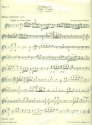 Konzert G-Dur KV313 fr Flte und Orchester Harmonie