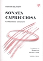 Sonata capricciosa fr Mandoline und Gitarre