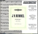 Konzert E-Dur CD mit der Begleitung zur Solotrompete