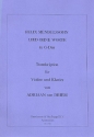 LIED OHNE WORTE G-DUR FUER VIOLI- NE UND KLAVIER DRIEM VAN, ADRIAAN, ED.