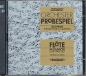Orchester Probespiel CD für Flöte / Piccoloflöte CD Orchesterbegleitung zur Solostimme