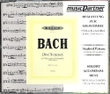 3 Sonaten für Viola da gamba (Viola, Violoncello) und Cembalo CD mit Begleitung zur Solostimme