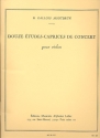 12 tudes-caprices de concert pour violon