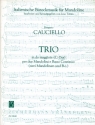 Trio C-Dur für 2 Mandolinen und Bc