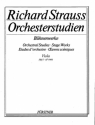 Orchesterstudien aus seinen Bhnenwerken Band 1 fr Viola GUNTRAM - FEUERSNOT