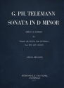Sonata d minor for violin (flute) and bc