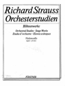 Orchesterstudien aus seinen Bhnenwerken Band 2 fr Violoncello 2, SALOME