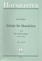 Schule fr Mandoline Band 1 Der Abwrtsschlag (E- und A-Saite) fr Mandoline