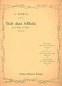 Duo brillant op.110,2 pour flute et piano