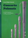 Concerto Polonois fr 4 Blockflten (SATB) Partitur und Stimmen