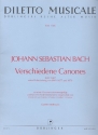 Verschiedene Canones fr Orgelpositiv und Cembalo