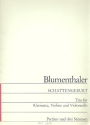 Schattengeburt Trio fr Klarinette, Violine und Violoncello Partitur und 3 Stimmen