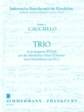 Trio D-Dur für 2 Mandolinen und Bc