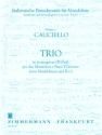 Trio D-Dur fr 2 Mandolinen und Bc