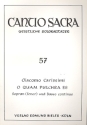 O quam pulchra es  fr Sopran (Tenor) und Bc