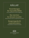 Tonartbungen fr Sopranblockflte