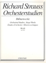 Orchesterstudien aus Bhnenwerken fr Harfe SALOME, ELEKTRA, ROSENKAVALIER