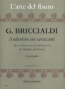 Andantino con variazioni fr Querflte und Gitarre