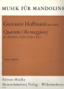 QUARTETTO RE MAGGIORE PER MANDO- LINO, VIOLINO, VIOLA E BASSO HLADKY, V., ED.    - 4 STIMMEN -